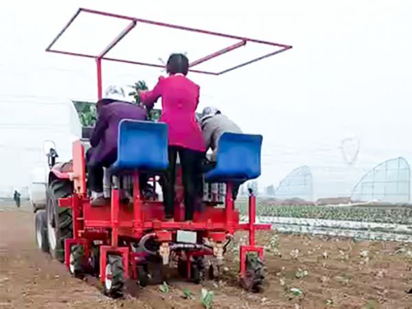 两行牵引式甘蓝移栽机